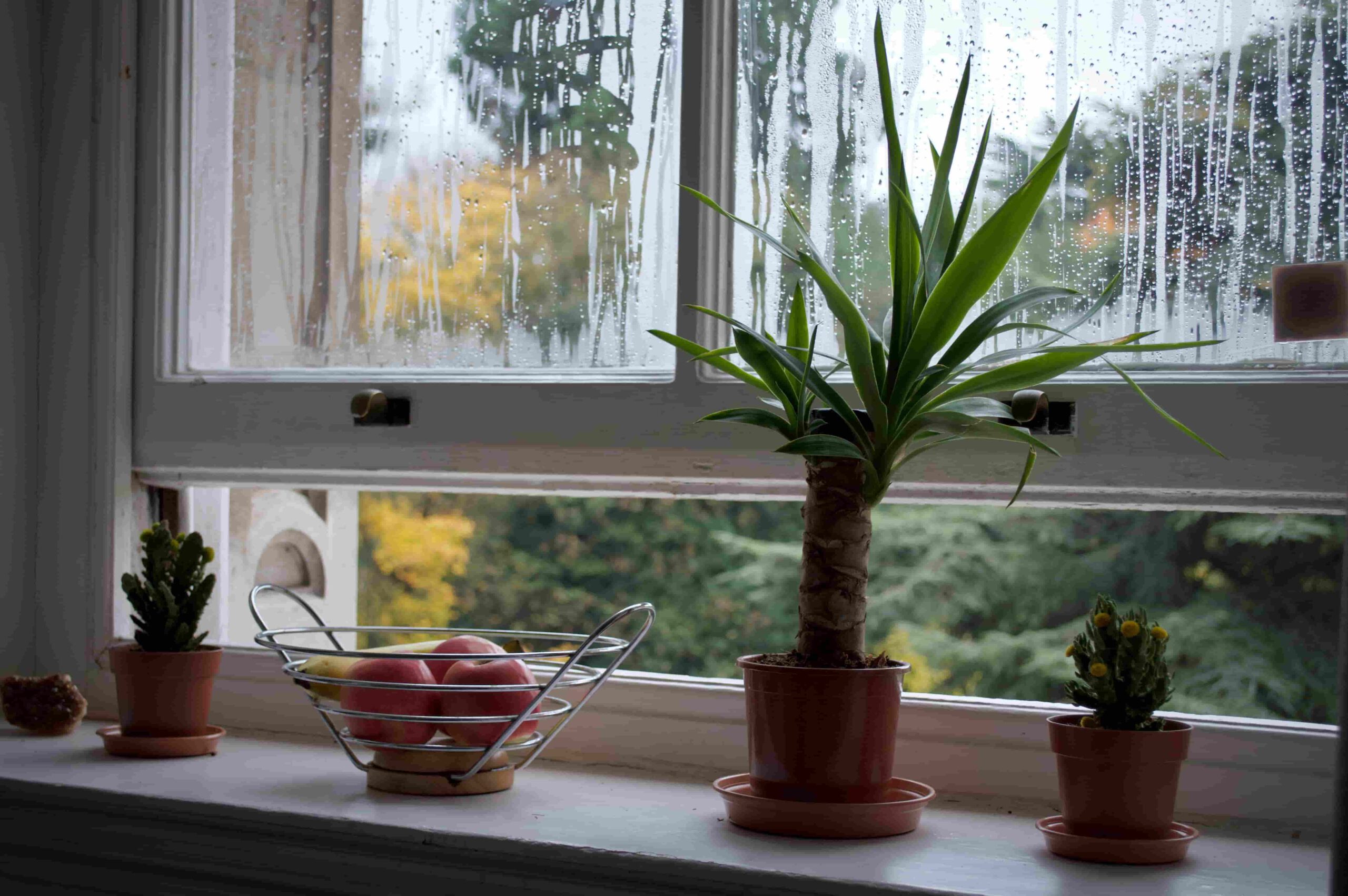 Dit zijn de oorzaken van vochtproblemen in huis